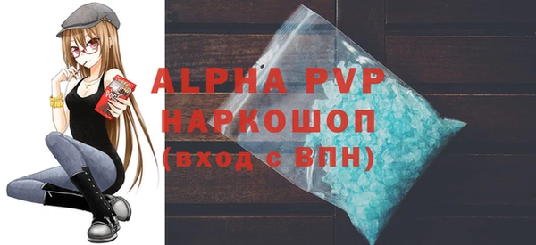 СК Алексин