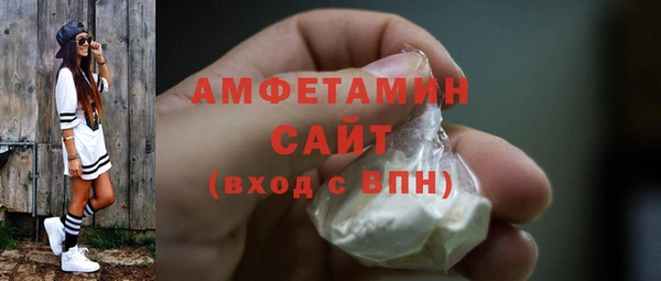 СК Алексин