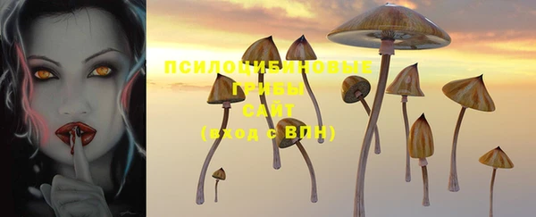 СК Алексин