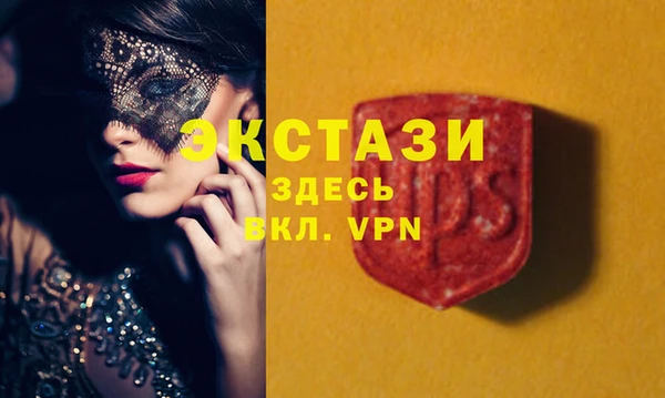 СК Алексин